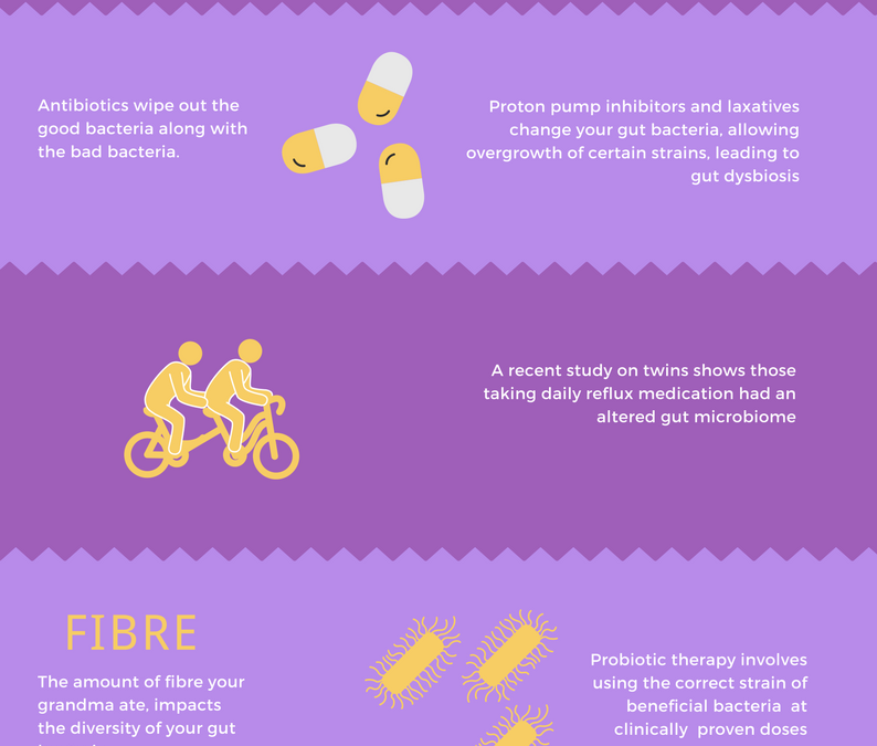 Maximising and Maintaining the Health of Your Gut Bacteria