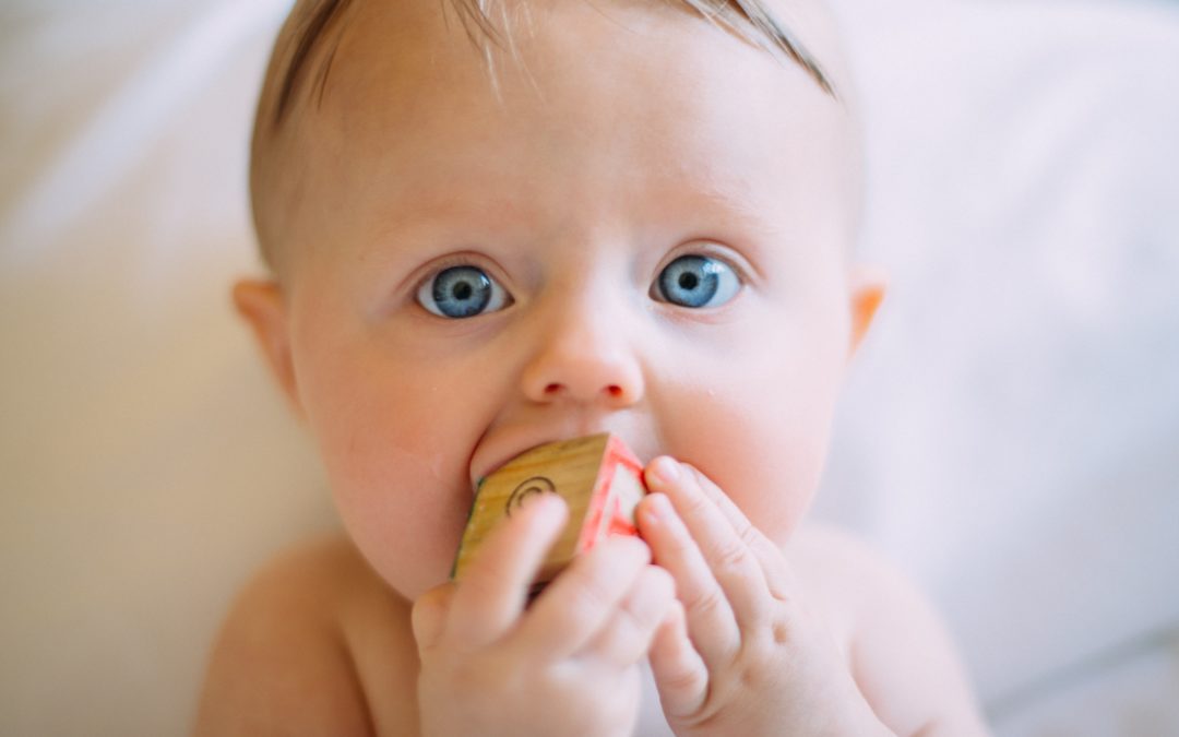 What is your Gut Flora doing while your Baby is Developing?