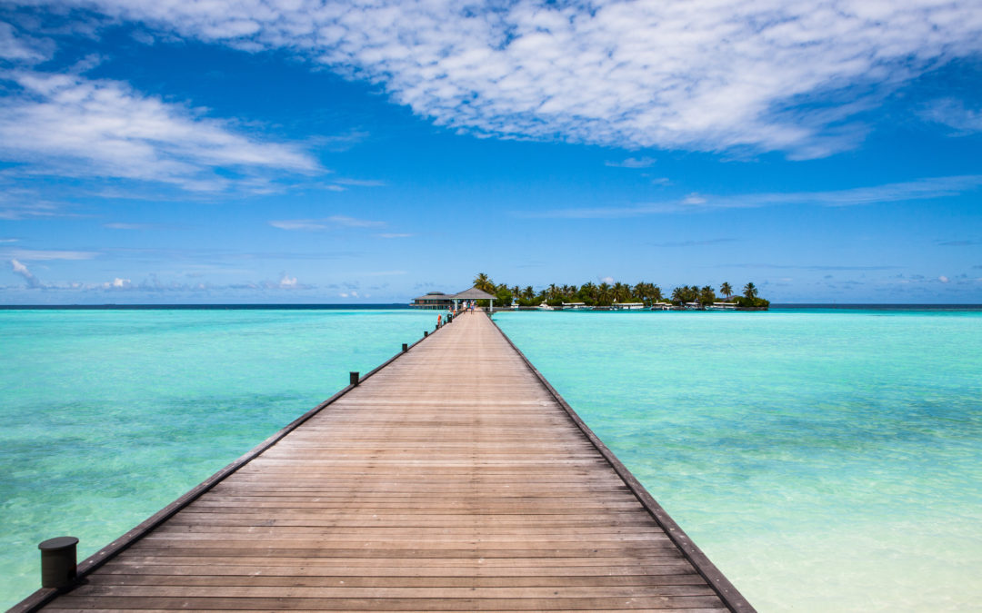 Could Taking Vitamin D Help you Lose Weight?