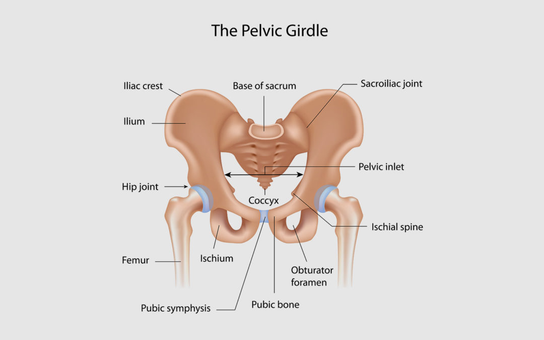 Pelvic girdle pain (PGP) during pregnancy